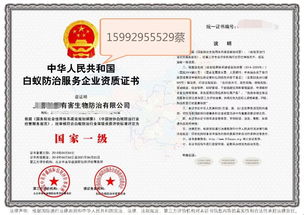 深圳教育咨詢服務(wù) 專業(yè)導(dǎo)航，助力學(xué)子與家庭的教育成長之路